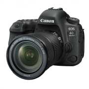 佳能（Canon）EOS 6D Mark II 套机（EF 24-105mm f/3.5-5.6 IS STM） 全画幅单反相机