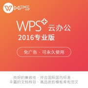 金山（Kingsoft）WPS+专业版 Office2016办公软件